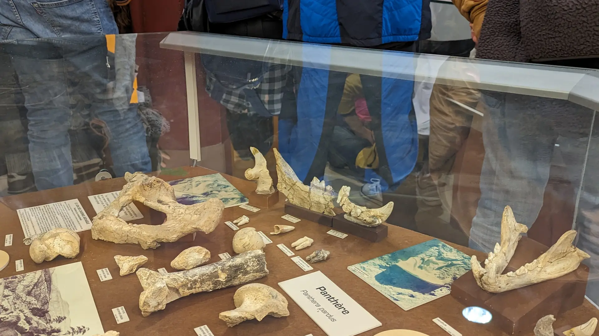 Collection archéologique