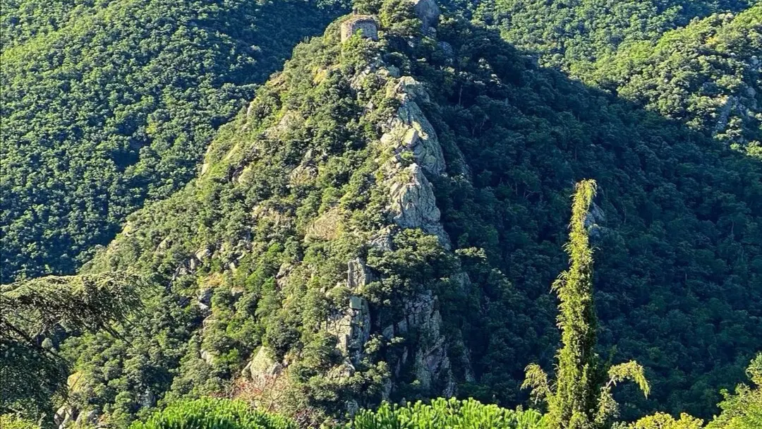 Paracoll par Thermes de Molitg  (1)