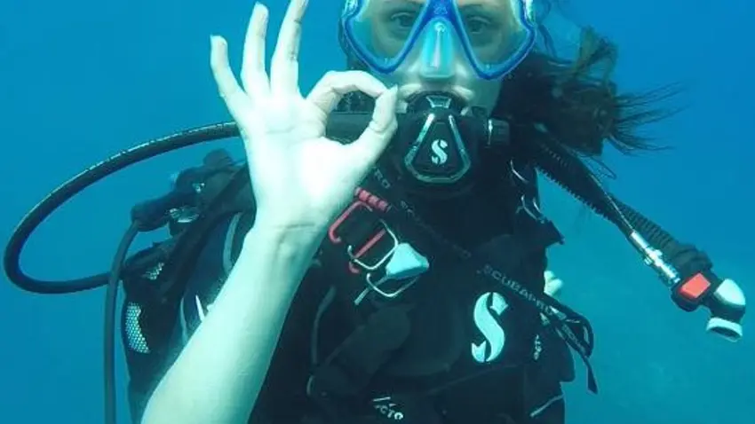 Paradis des Bulles plongeur