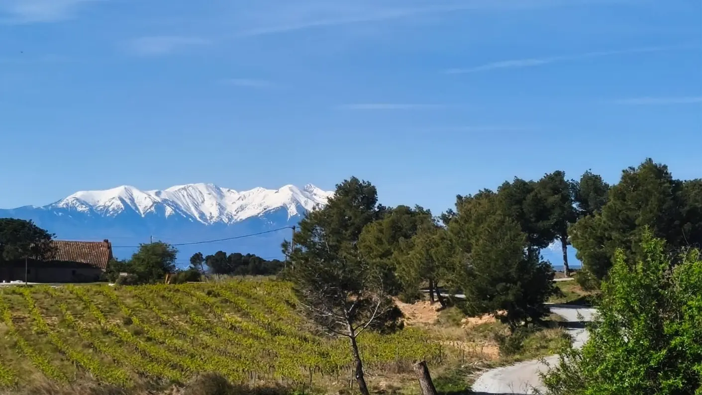 Paysage 2