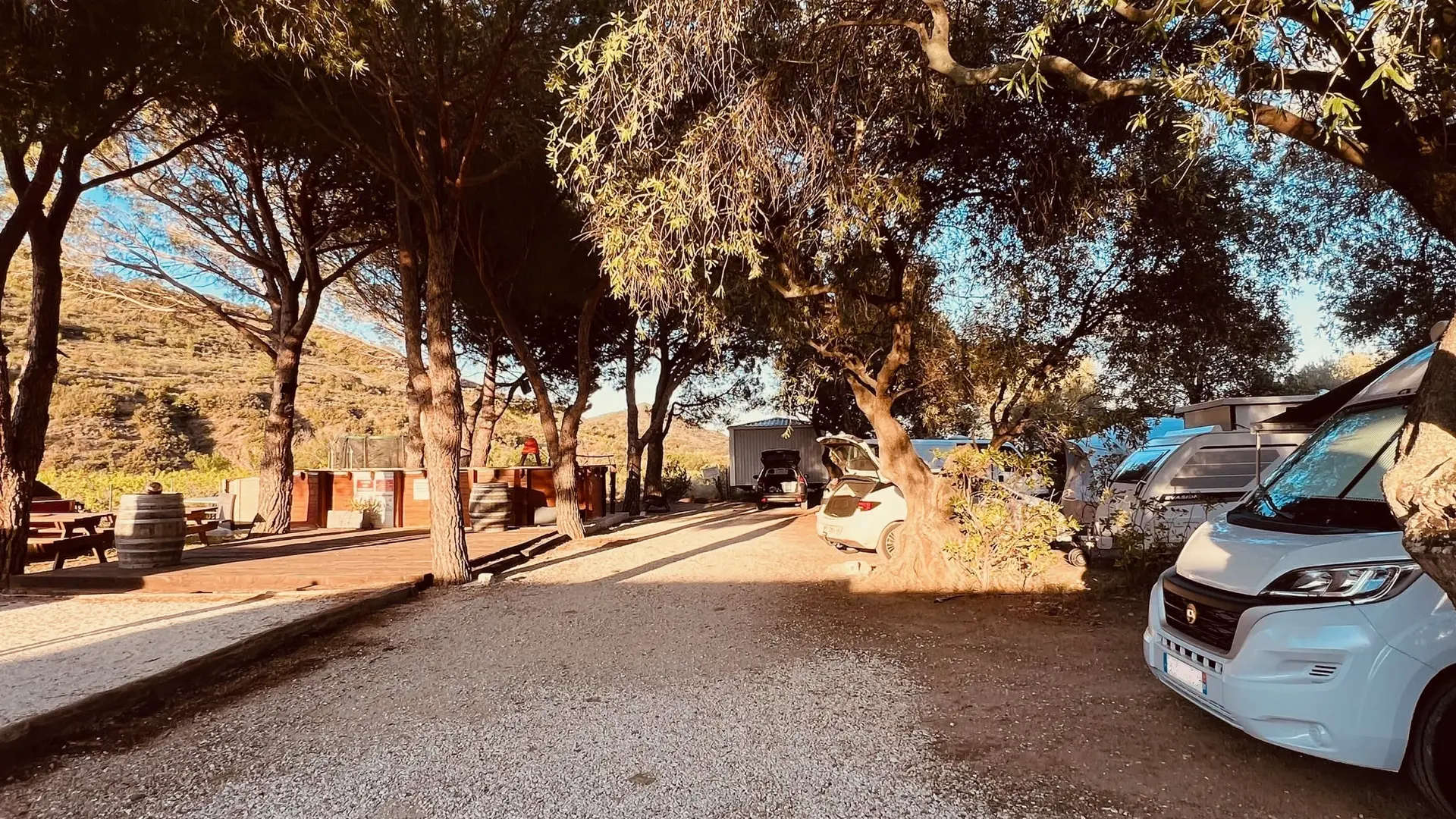 Pétanque, coin pique-nique et piscine - Camping le maurynate - J.Borrat