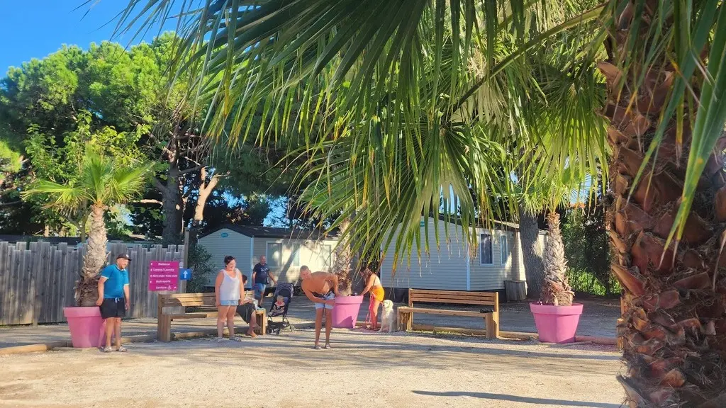 SAINT NAZAIRE - HPA - LES FLAMANTS ROSES