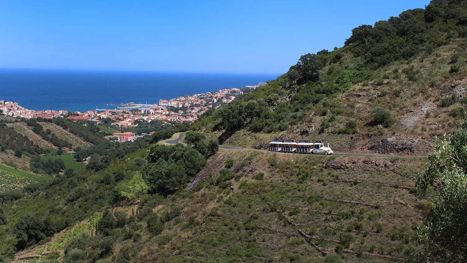 Petit Train Touristique du Vignoble 3