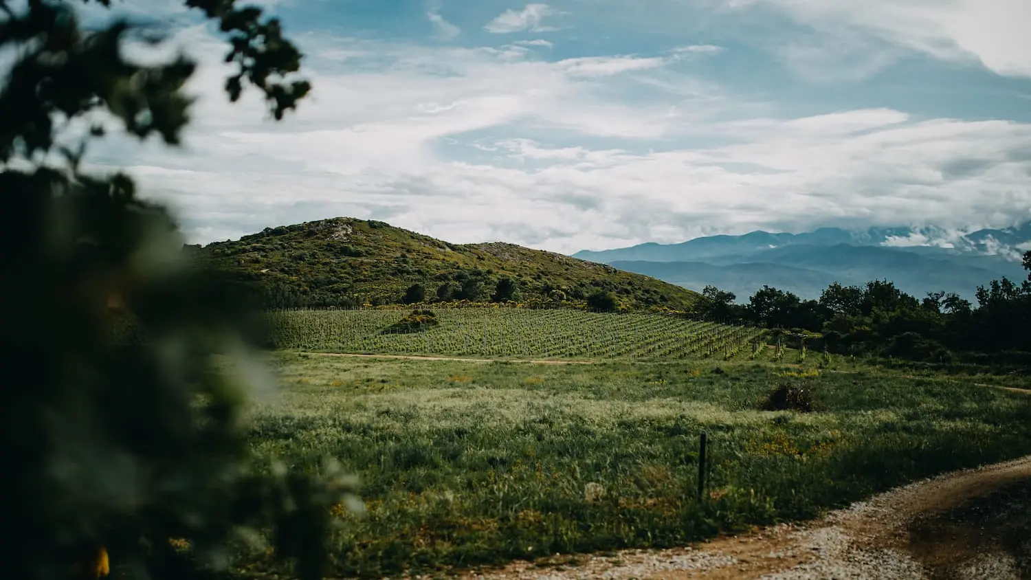 Photo Principale_clot_de_l_oum©Sonia Epple