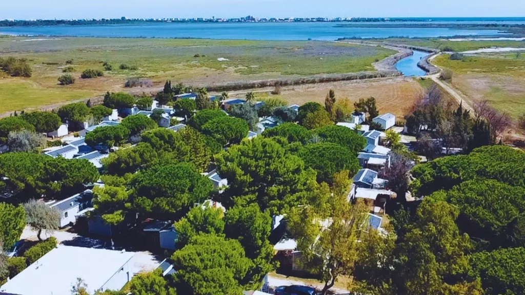 SAINT NAZAIRE - HPA - LES FLAMANTS ROSES