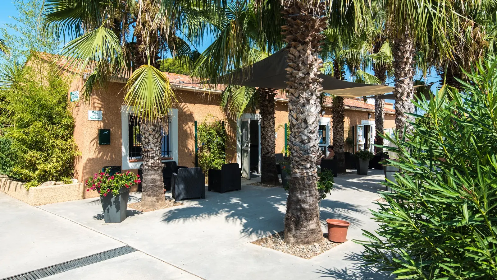 Pinede-enchantee-31495