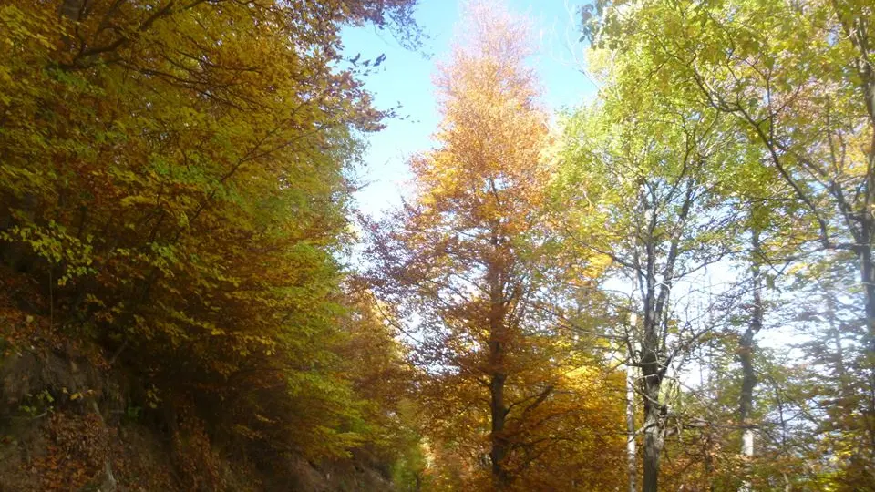 Piste - Mariailles ©A.RABAT