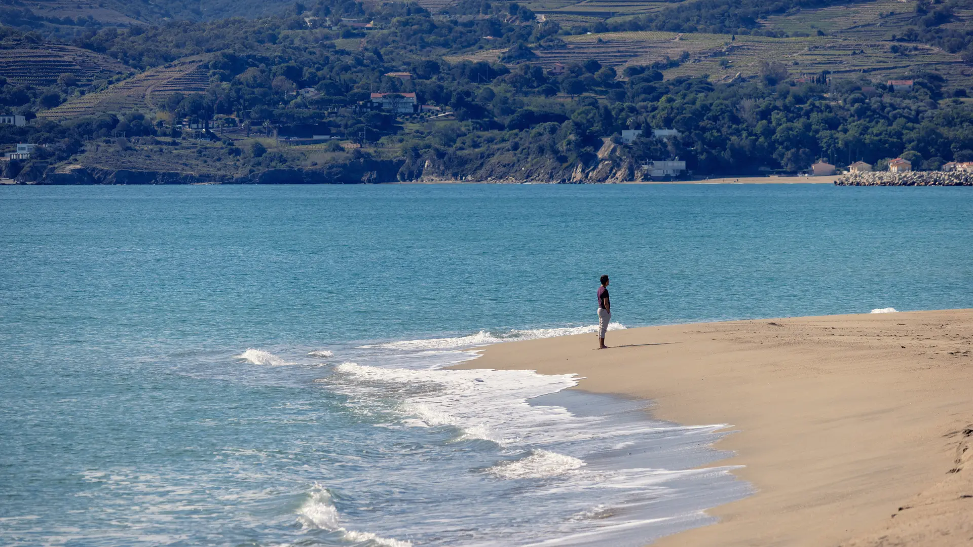 Plage_Nord-ArgelesTourisme-Lionel_Faliu-8168