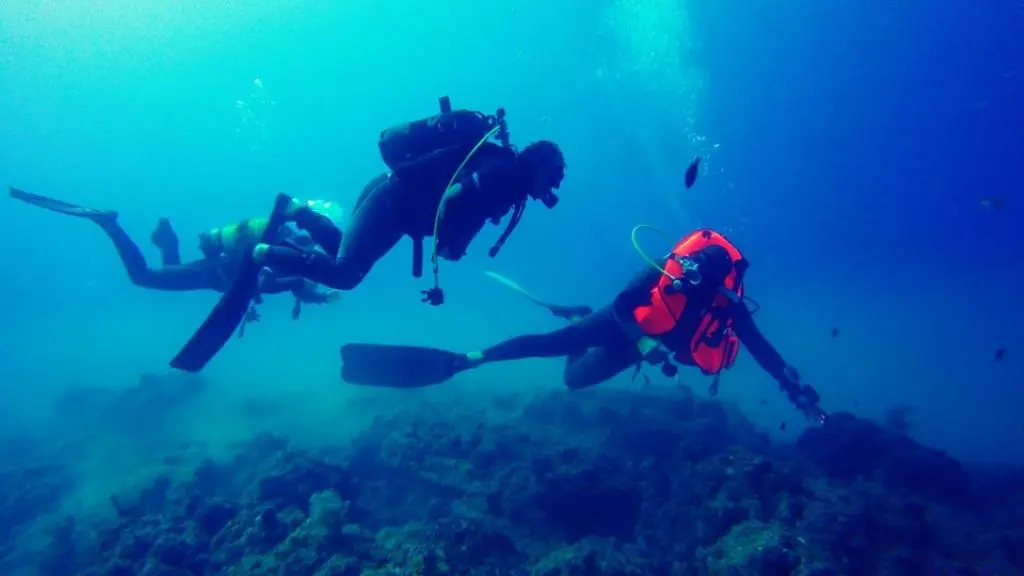 CENTRE DE PLONGEE LE POULPE