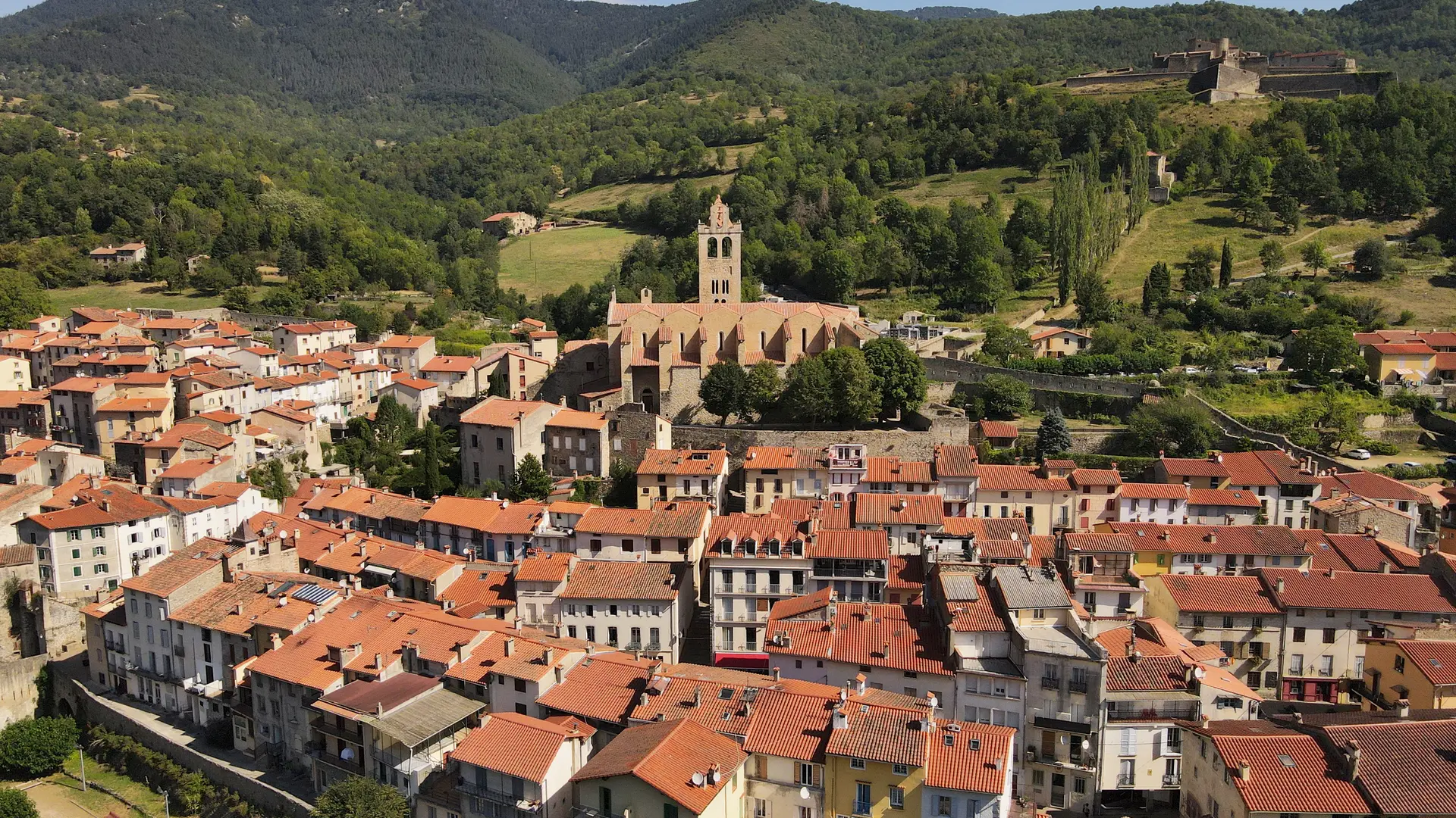 Prats-de-Mollo-la-Preste vue générale