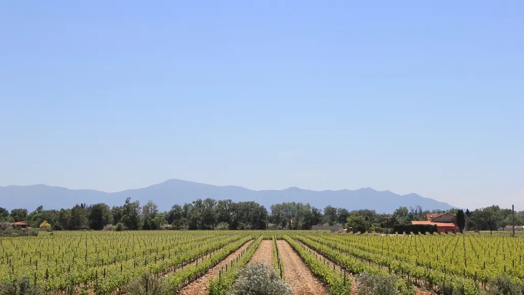 RIERE CADENE (2) 2015