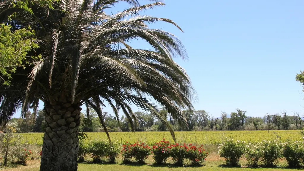 RIERE CADENE (3) 2015