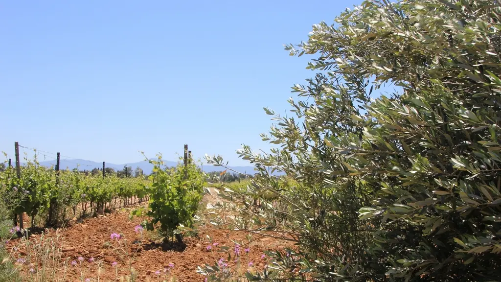 RIERE CADENE (4) 2015