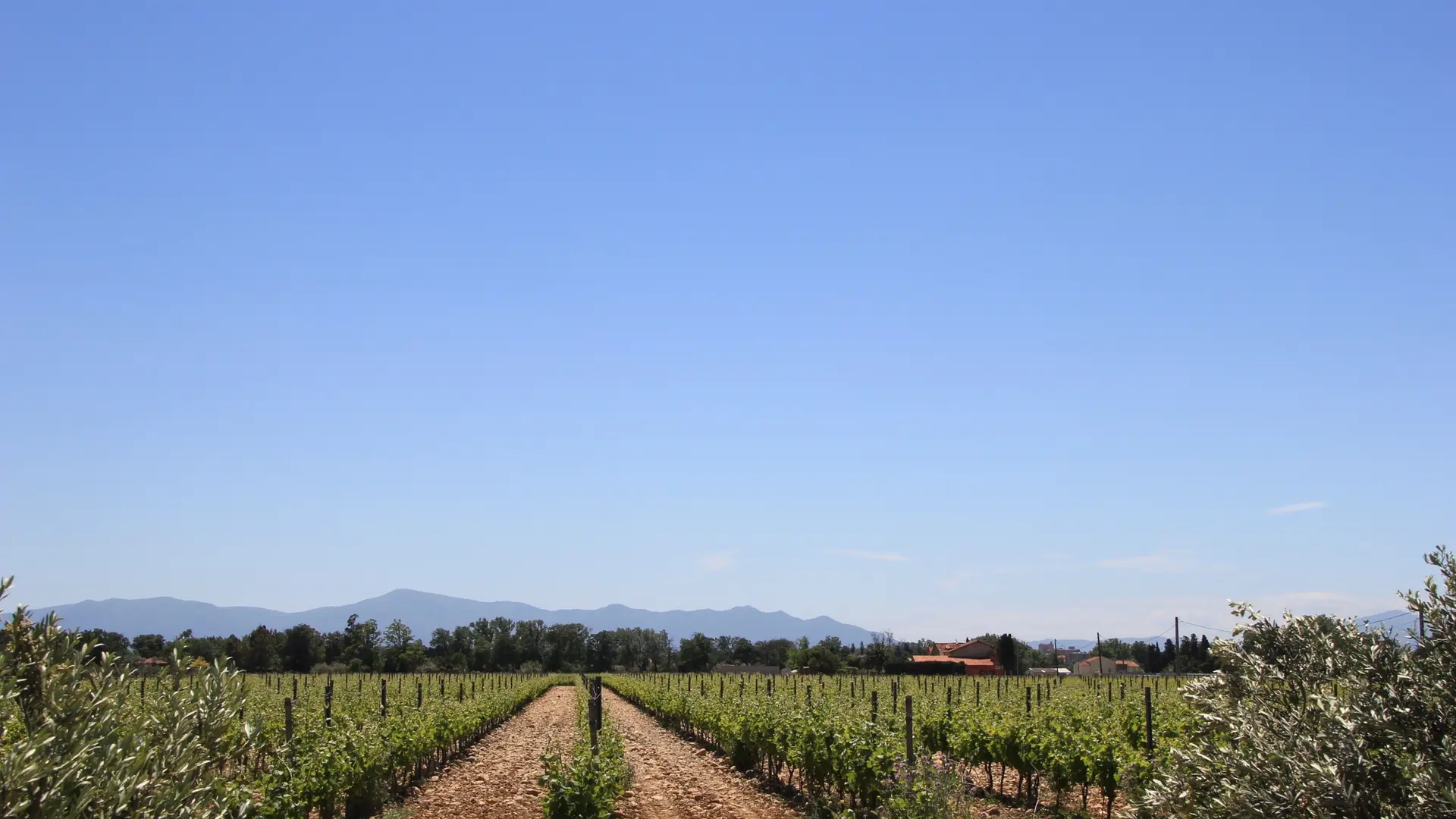 RIERE CADENE (5) 2015