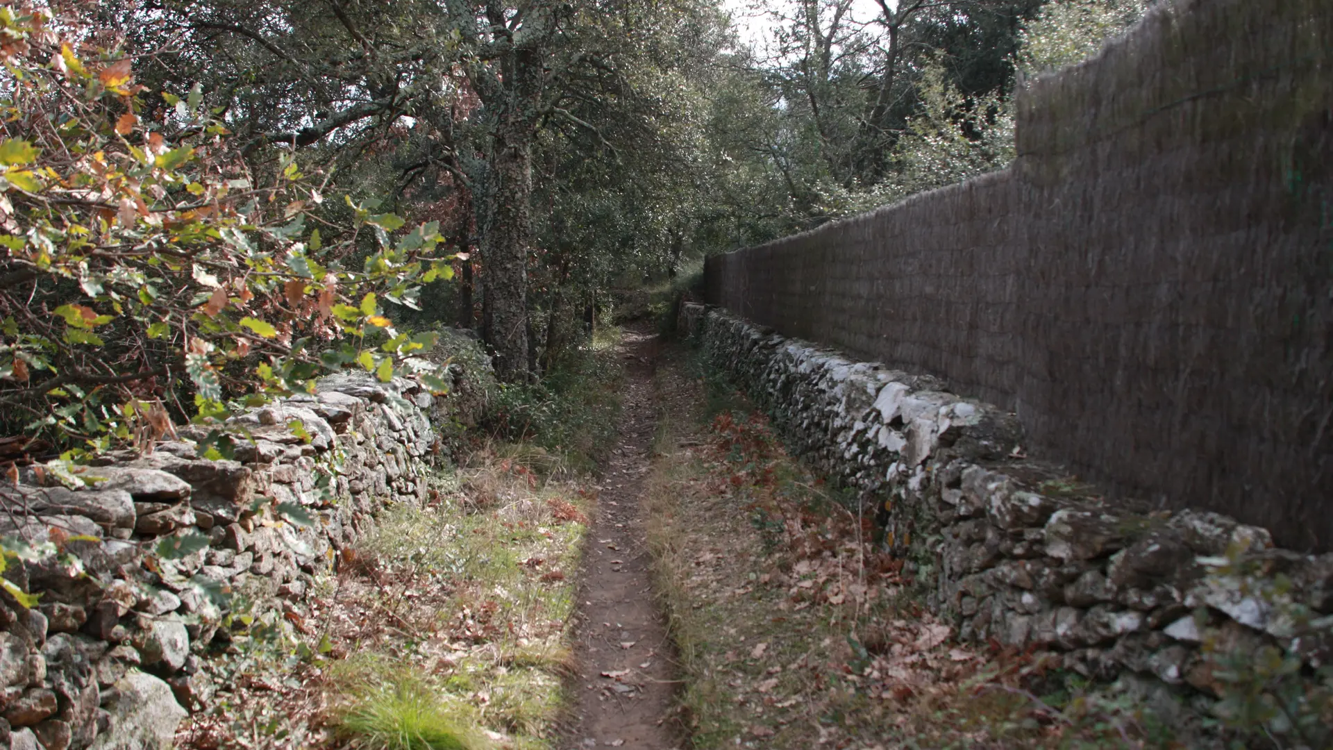 Rando enfants 2 (2010) 043