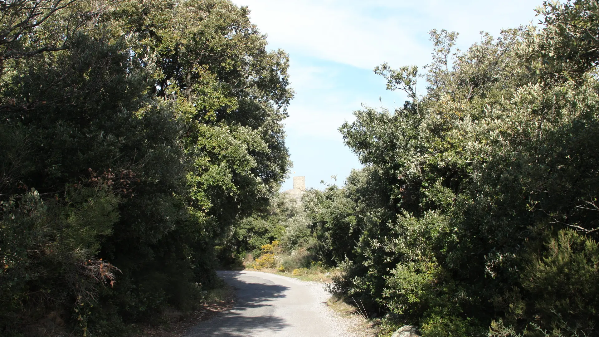 Rando enfants 2 (2010) 080