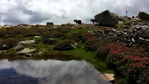 Rando equestre ©Paul Palau 1