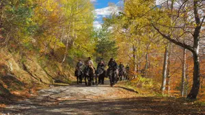 Rando equestre 2 ©Paul Palau