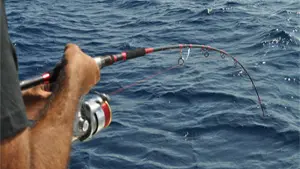 Roussillon Fishing 3