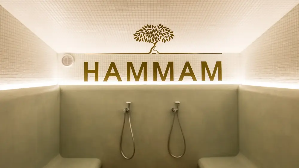 SPA Villa Duflot-photo 3