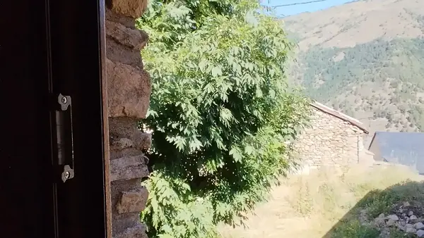 Vue depuis la chambre