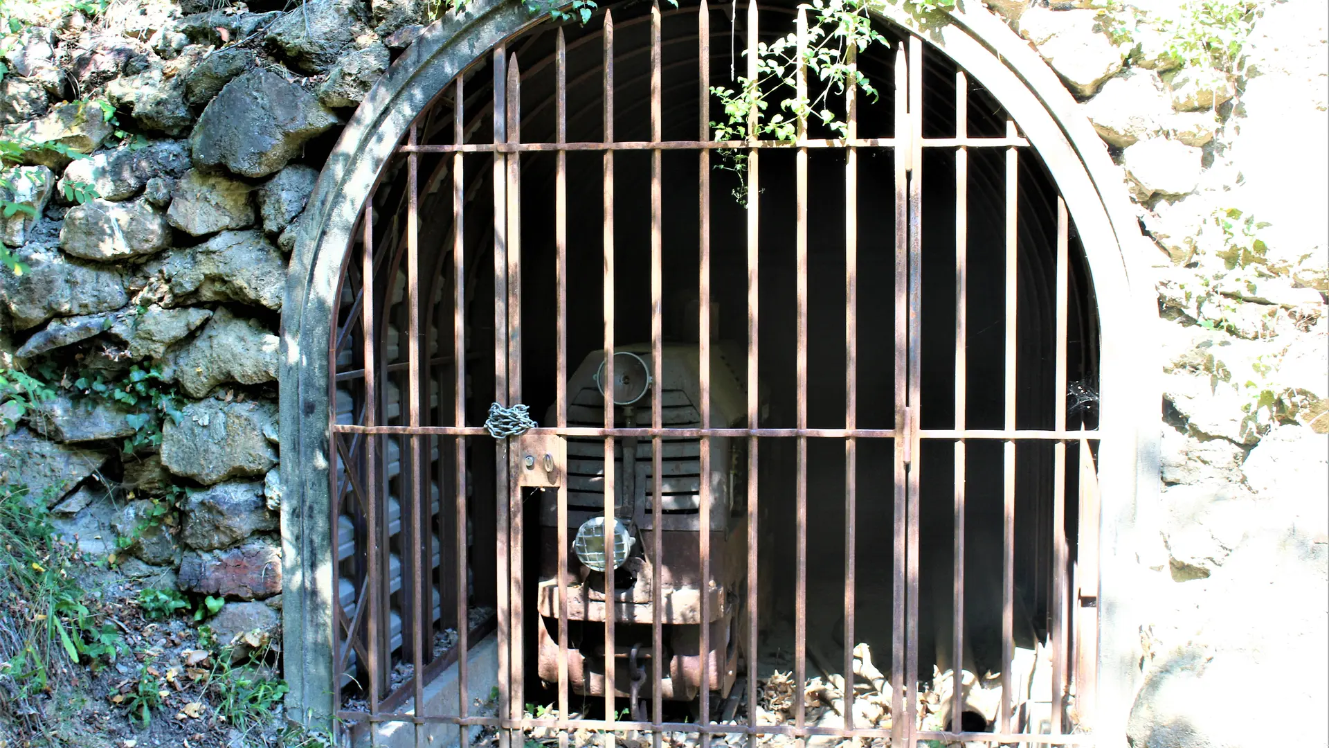 Salver - Galerie 703