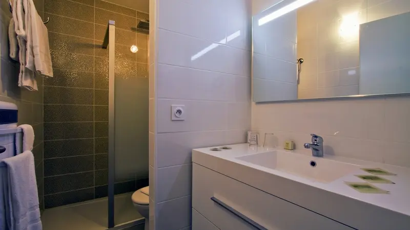 Salle de bains avec douche hôtel princess