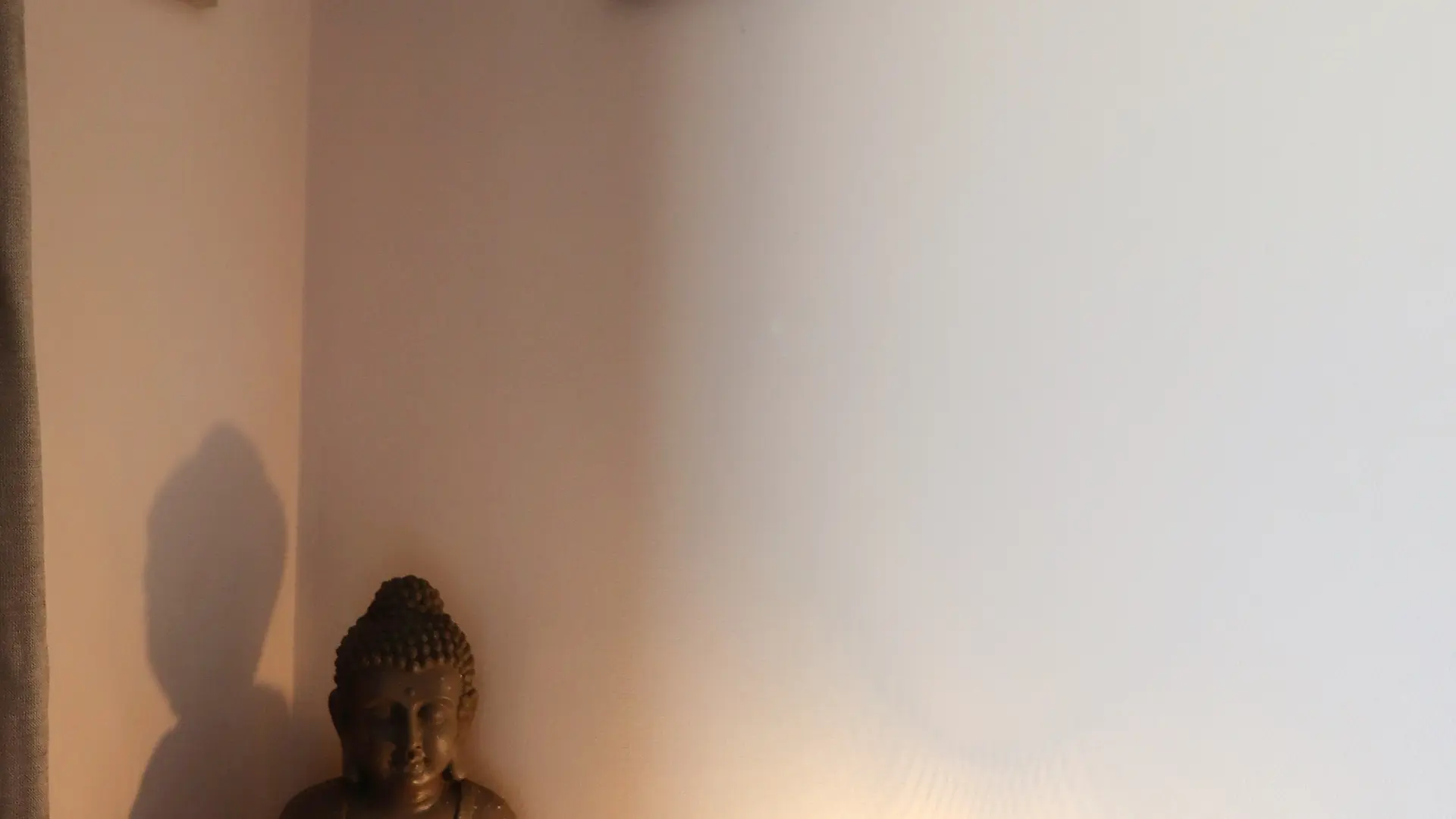 Salon-salle à manger (2)