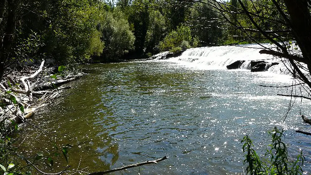 THierry Couasnon peche