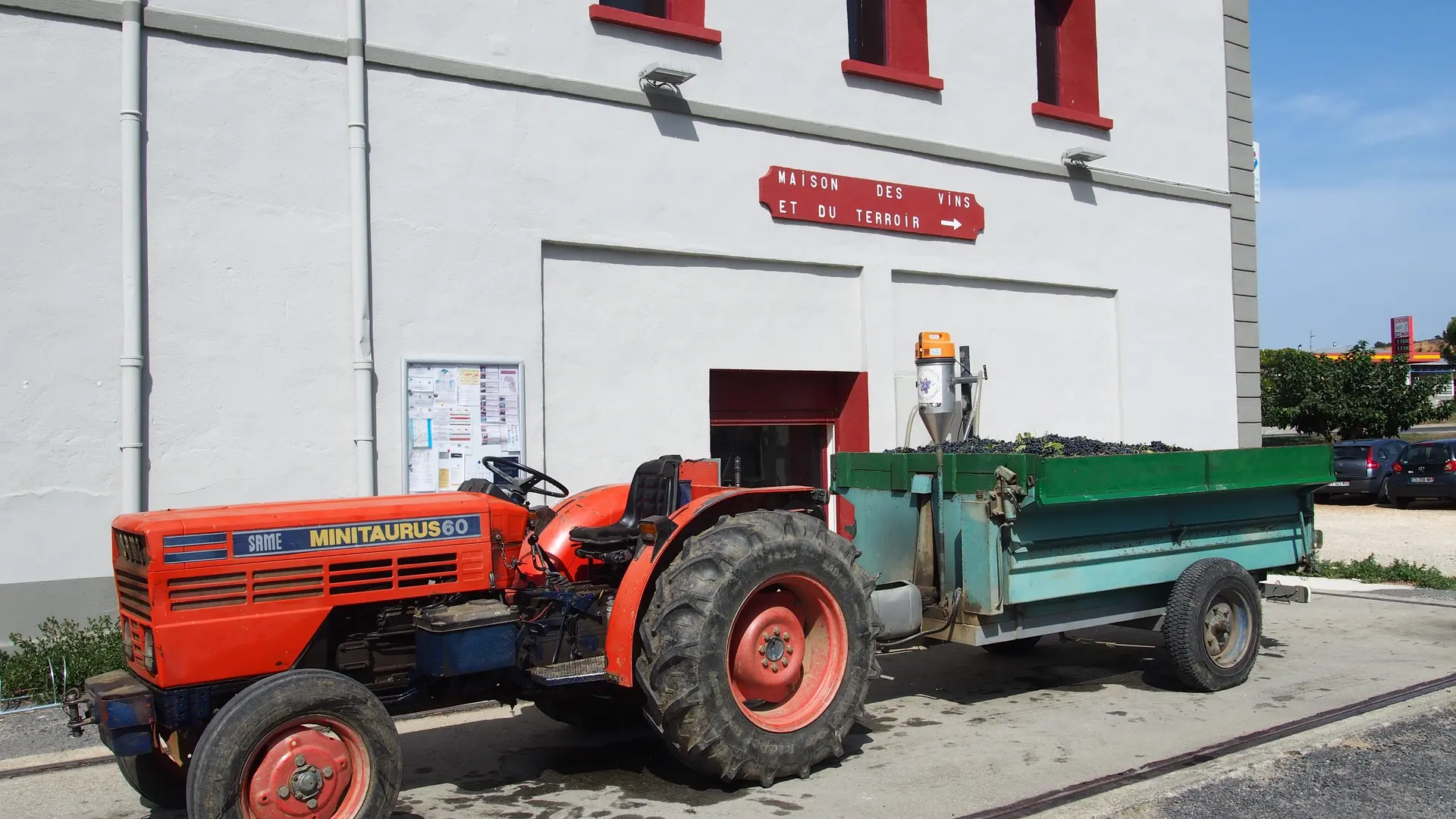 Tracteur au retour de vendange