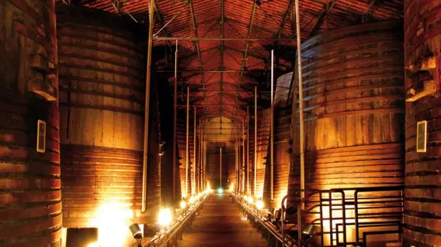 Terre des Templiers 1