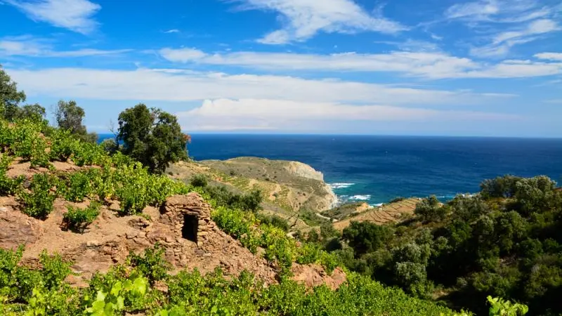 Terre des Templiers 2