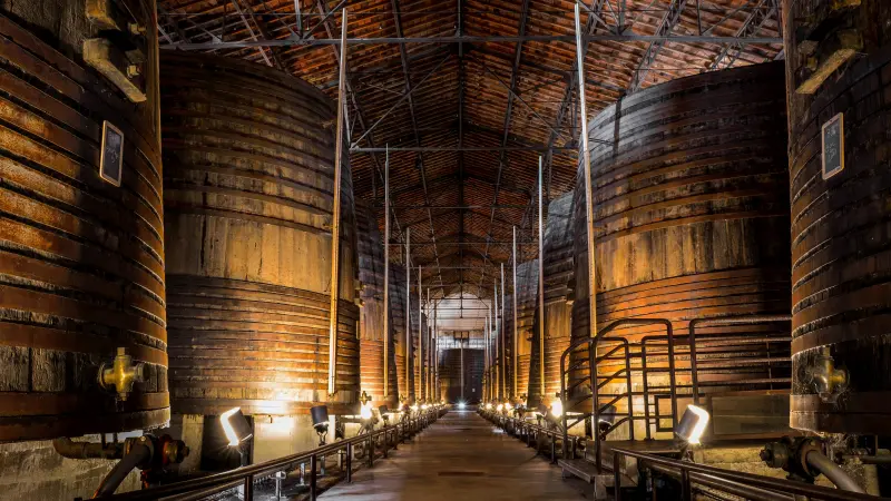 Terre des Templiers 3