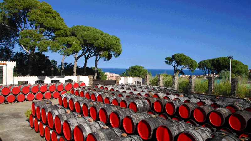 Terre des Templiers 5