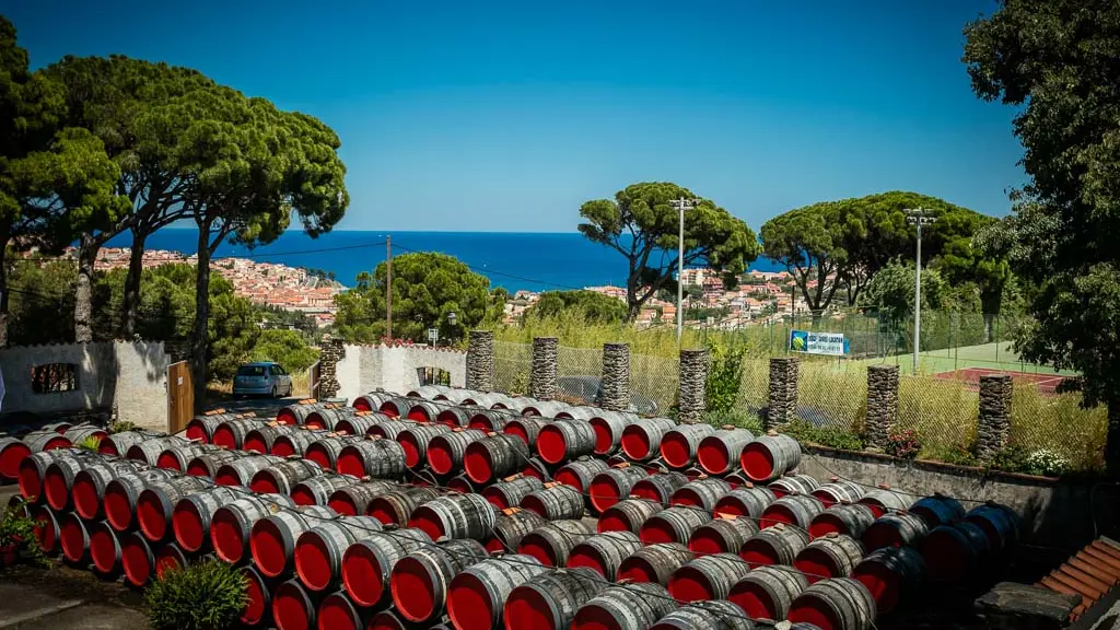 Terres des templiers-Banyuls sur mer_