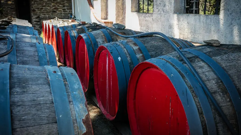 Terres des templiers-Banyuls sur mer_1