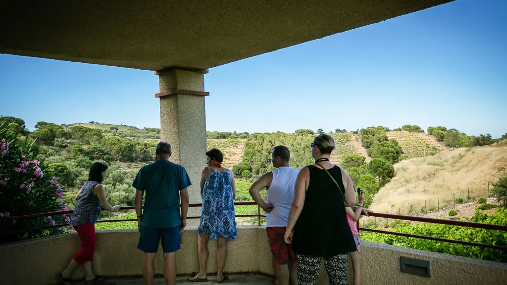 Terres des templiers-Banyuls sur mer_16