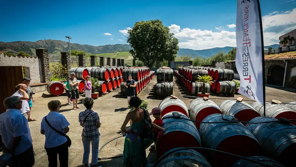Terres des templiers-Banyuls sur mer_2