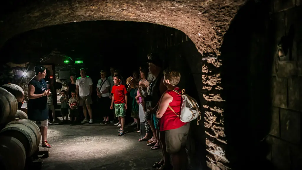 Terres des templiers-Banyuls sur mer_3