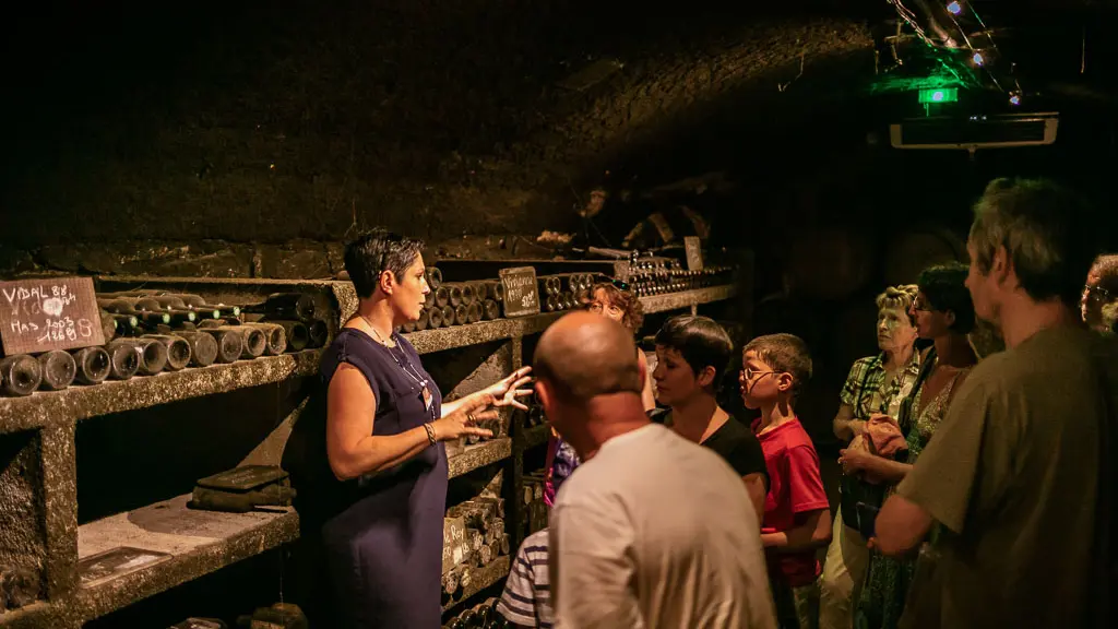 Terres des templiers-Banyuls sur mer_4