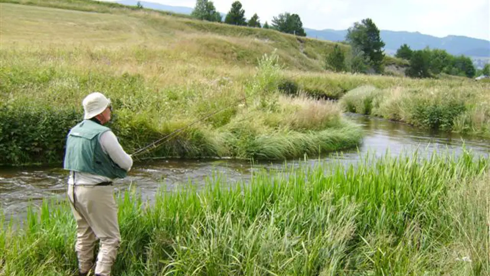 Thierry Couasnonparcours_truite1
