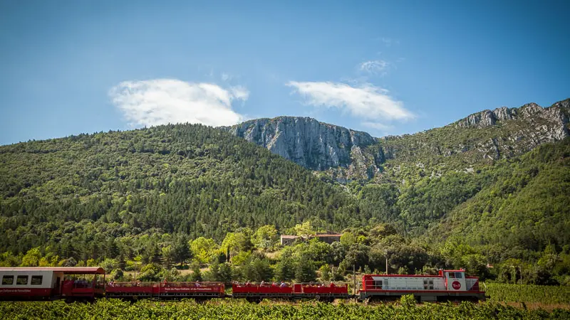 Train du pays cathare et du fenouilledes_14
