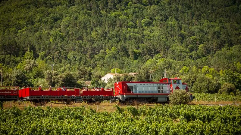 Train du pays cathare et du fenouilledes_15