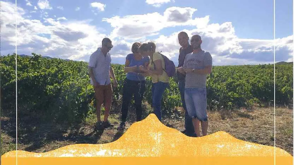 VINO ENIGMA - Escape Game dans les vignes - 2025