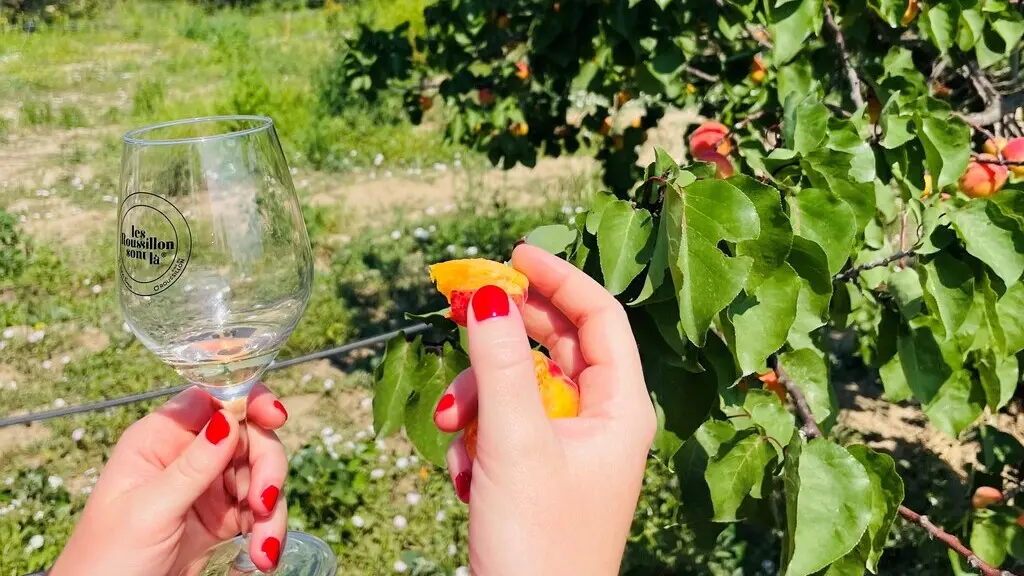 Torreilles Producteur Pagnon