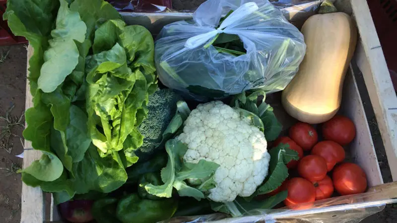 Vergers des Cabanes 1