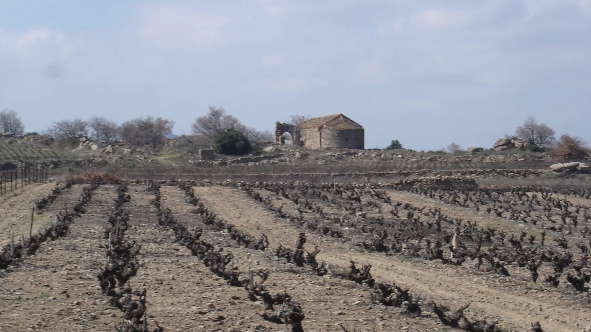 Vignerons de Tremoine 1