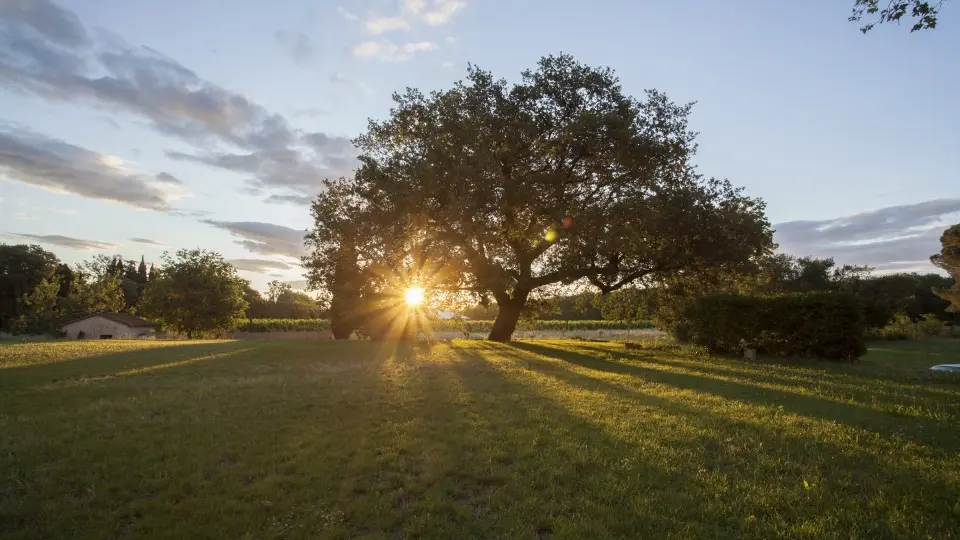 Château de Villeclare
