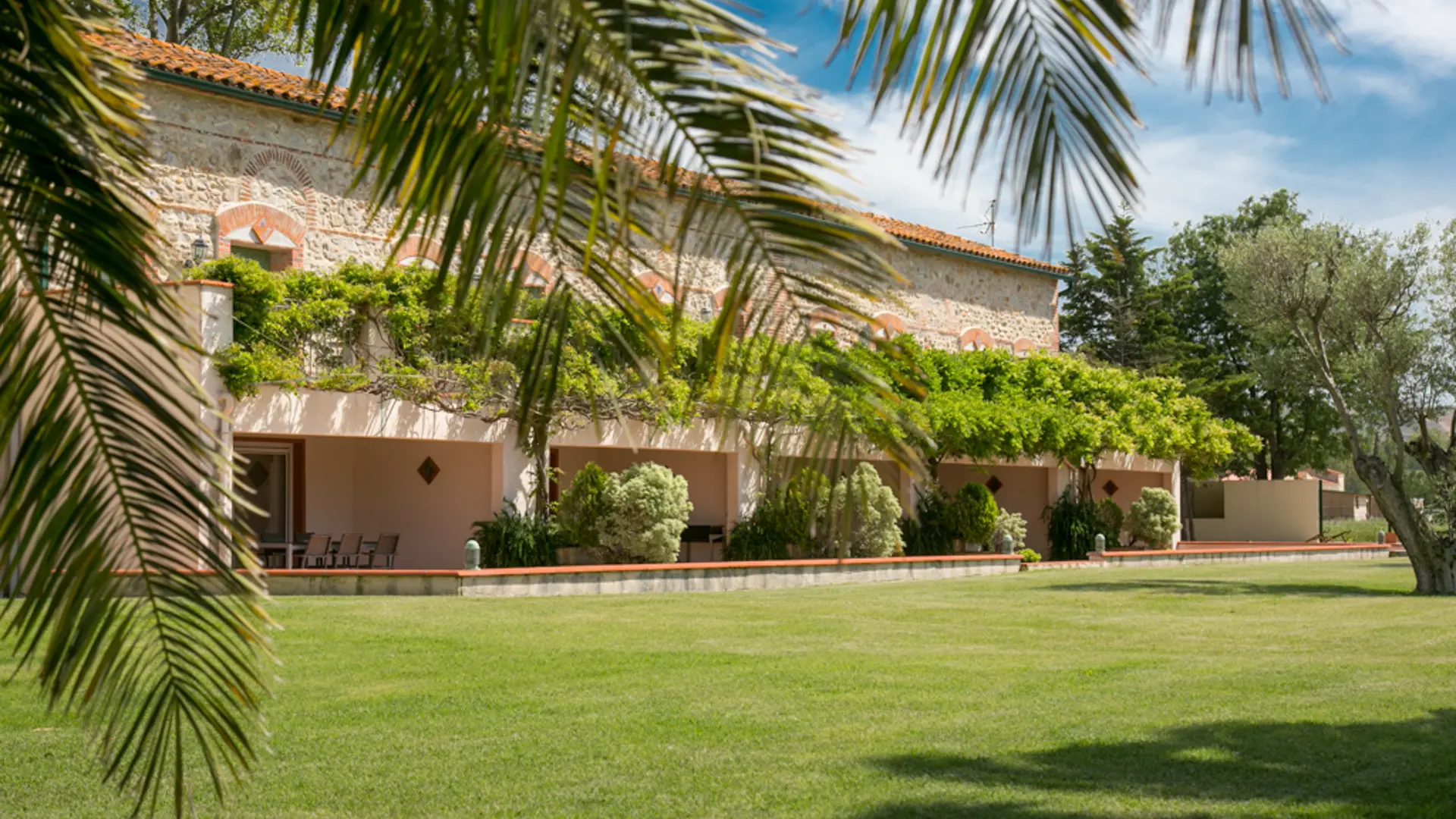 Aspres Thuir Mas San Jullian Carignan 1