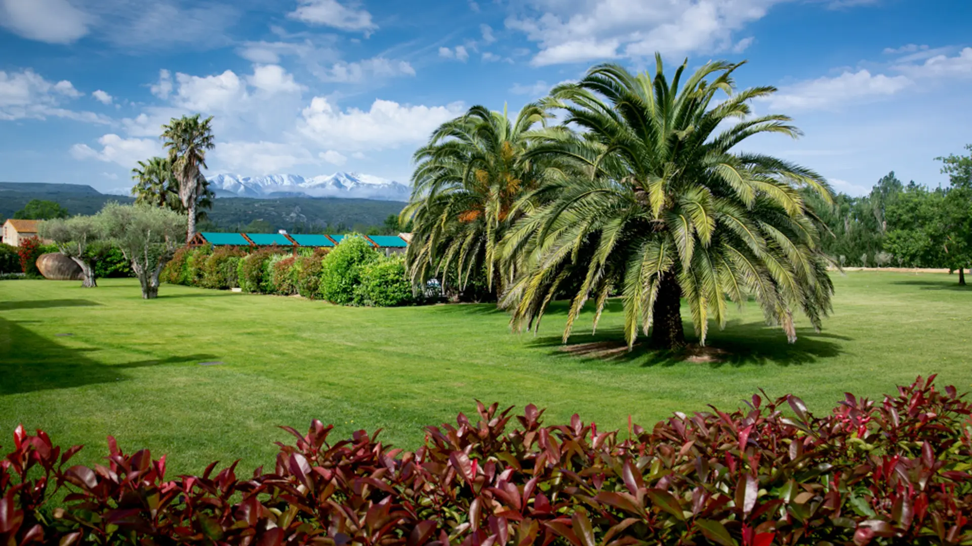 Aspres Thuir Mas San Jullian Carignan